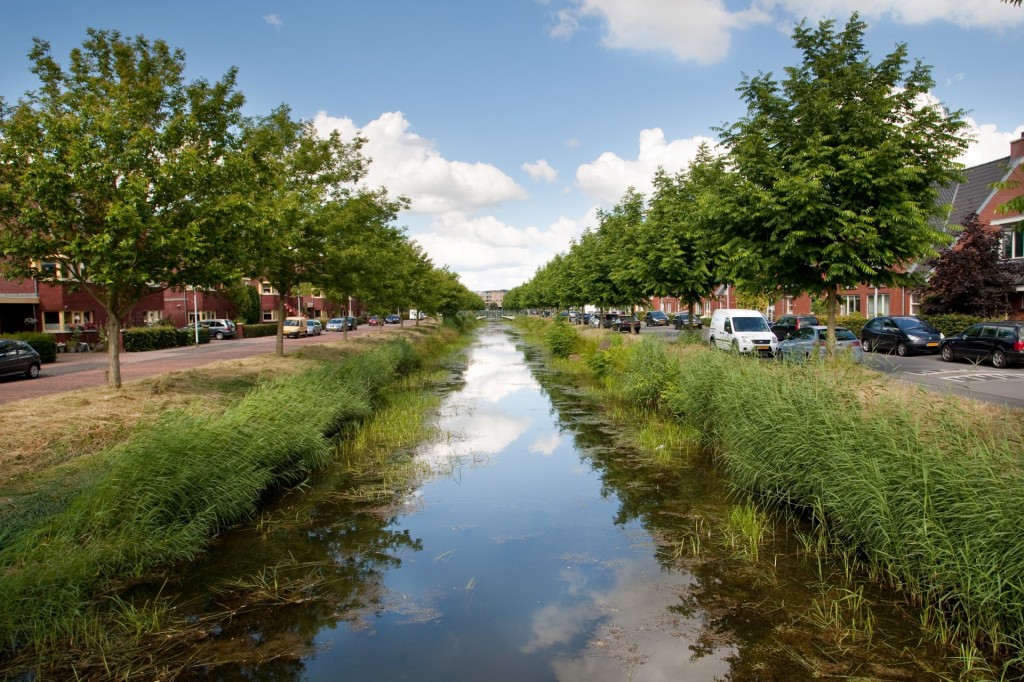 Zwolle, De Hoven 1
